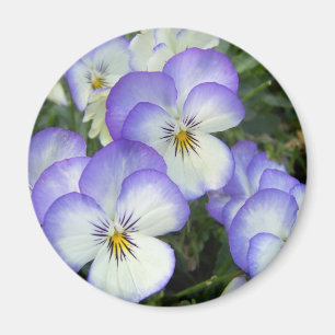 Purple and White Pansies Magnet