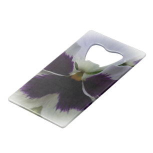Purple and white pansy