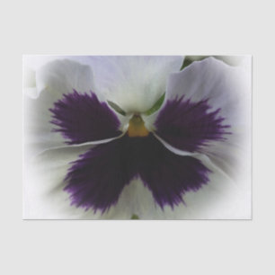 Purple and white pansy tissue paper