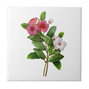 Purple and White Periwinkle by Redoute Ceramic Tile