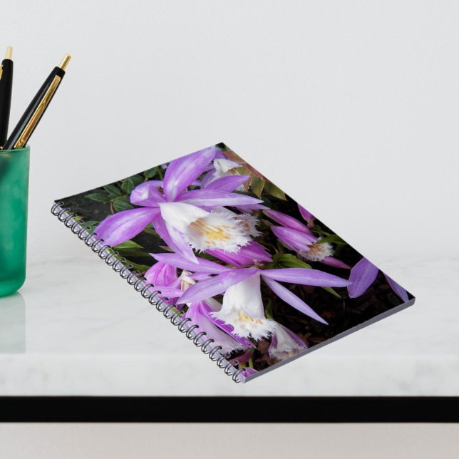 Purple and White Pleione Orchids Floral Notebook (In Situ)