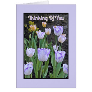 "PURPLE AND WHITE TULIPS / Thinking Of You