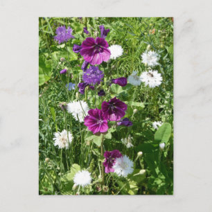 Purple and White Wildflowers DIY Postcard
