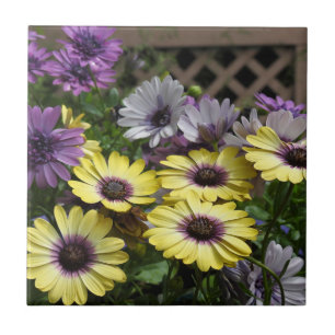 Purple and Yellow African Daisies Tile Trivet