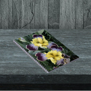 Purple and Yellow Beardless Irises Floral Notebook