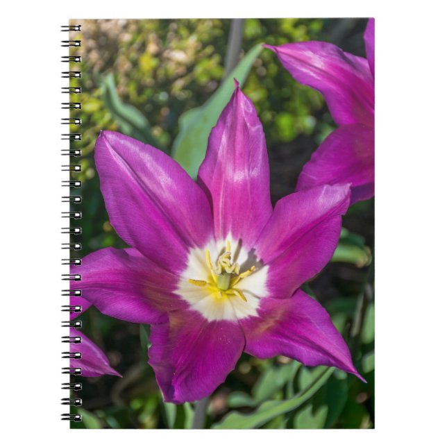 Purple and yellow flowers notebook (Front)