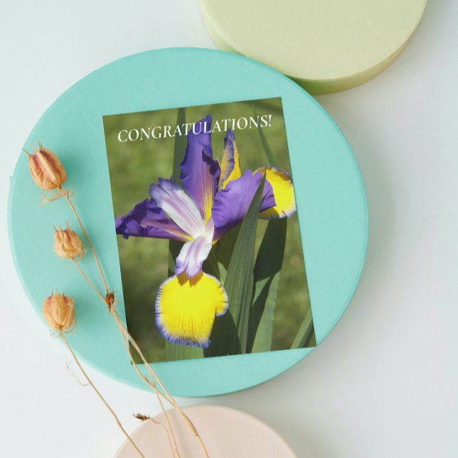 Purple and Yellow Iris Floral Congratulations Card (In Situ)