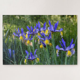 Purple and Yellow Iris in the Garden Jigsaw Puzzle