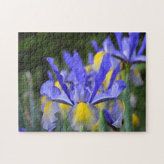 Purple and Yellow Iris Jigsaw Puzzle (Horizontal)