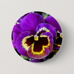 Purple and yellow pansy flower 6 cm round badge