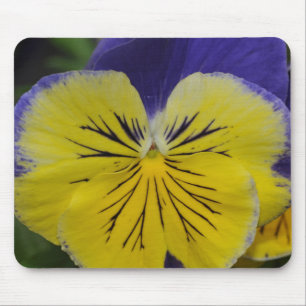 Purple and yellow pansy flower mouse pad