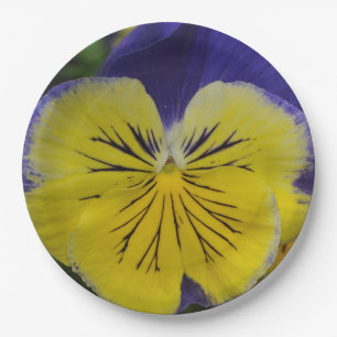 Purple and yellow pansy flower paper plate
