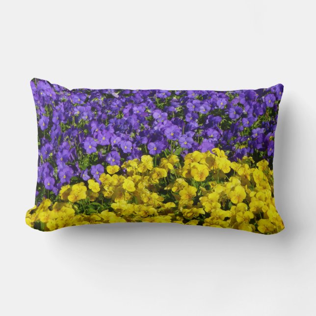 Purple and Yellow Violas Colourful Floral Lumbar Cushion (Front)