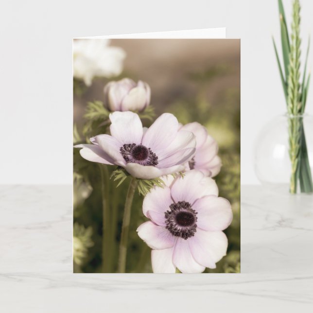 Purple Anemones Note  Card (Front)