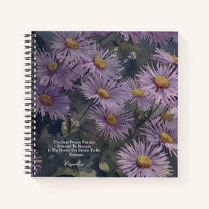 Purple Aspen Fleabane Daisy Flower Emerson Journal