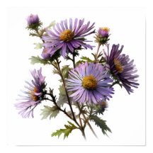 Purple Aster Flower Art Print Poster