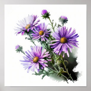 Purple Aster Flower Art Print Poster