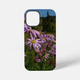 Purple Aster Flowers at Mount Rainier iPhone 12 Mini Case