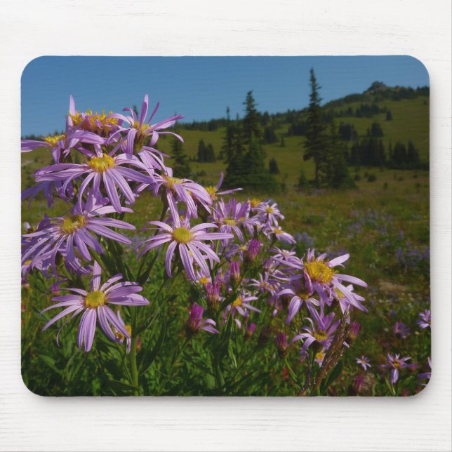 Purple Aster Flowers at Mount Rainier Mouse Pad (Front)