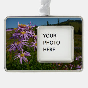 Purple Aster Flowers at Mount Rainier Silver Plated Framed Ornament
