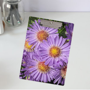 Purple Aster Flowers Floral Clipboard
