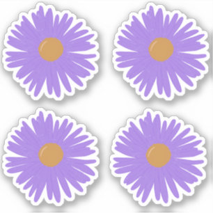Purple Aster flowers hand drawing acrylic