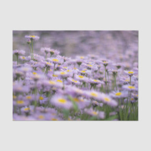 Purple Aster Flowers Tissue Paper