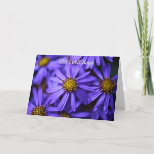 Purple Aster Flowers Wisley Gardens Get Well Soon Card