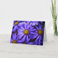 Purple Aster Garden Flowers With Deepest Sympathy