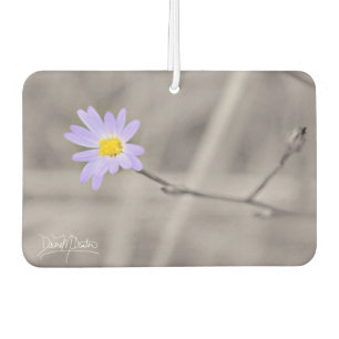 Purple Aster in Selective Colour Car Air Freshener