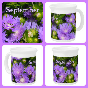 Purple Aster Wildflowers Floral Photographic Pitcher