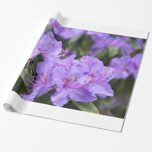 Purple azalea flowers holiday, Christmas, birthday Wrapping Paper