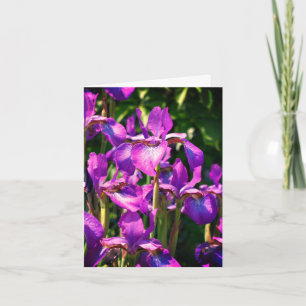 Purple Bearded Iris Flowers Customisable Note Card