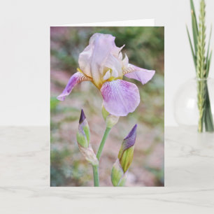 Purple Bearded Iris Flowers Floral Note Card