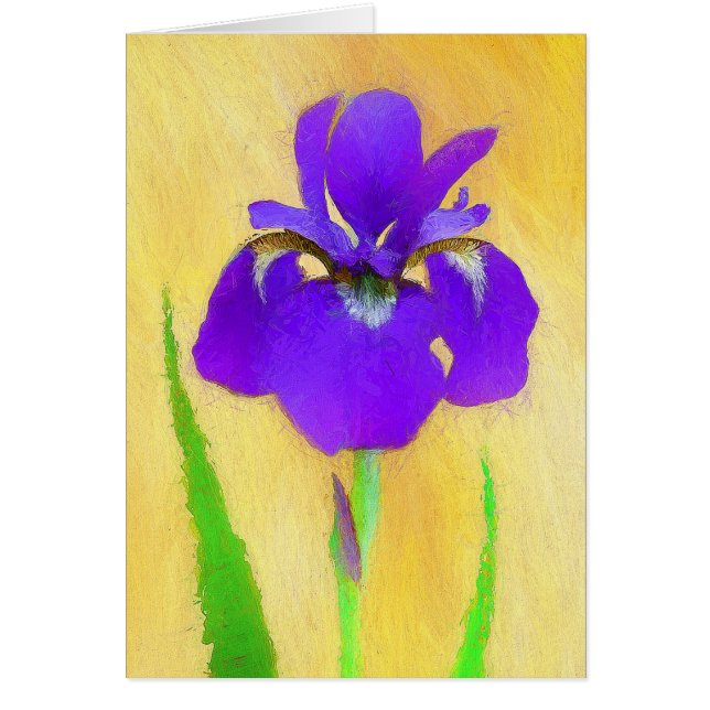Purple Bearded Iris Painting - Cute Original Dog A (Front)