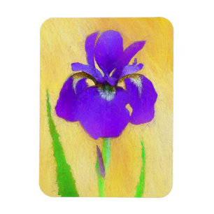 Purple Bearded Iris Painting - Cute Original Dog A Magnet