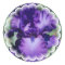 Purple Bearded Iris Sticker