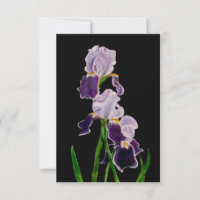Purple Bearded Iris