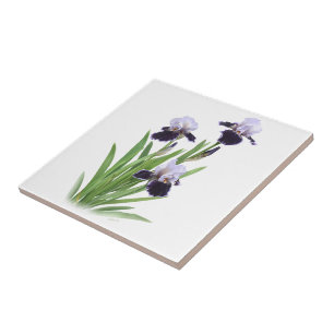 Purple Bearded Iris Trio Floral Botanical Art Tile