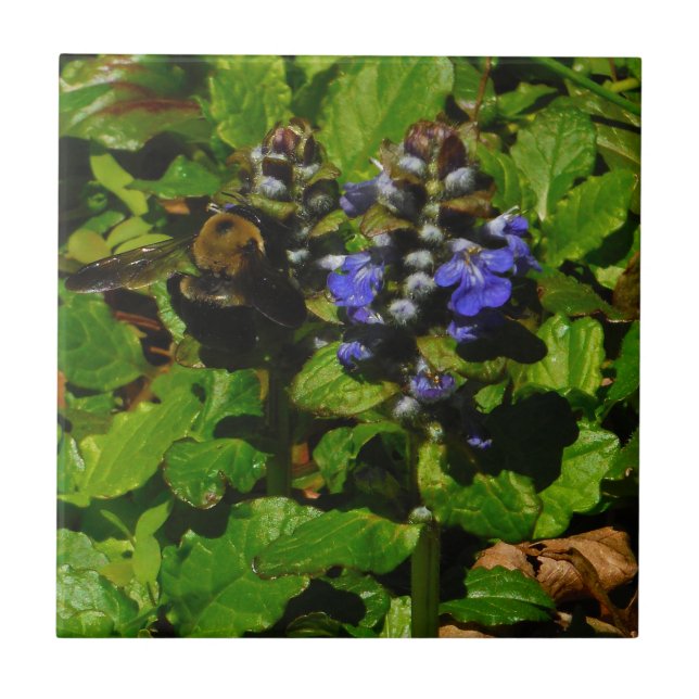 Purple Bee Balm and Bumble Bee Ceramic Tile (Front)