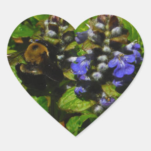 Purple Bee Balm and Bumble Bee Heart Sticker