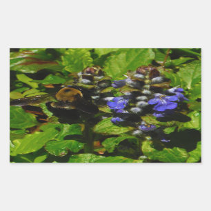 Purple Bee Balm and Bumble Bee Rectangular Sticker
