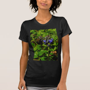 Purple Bee Balm and Bumble Bee T-Shirt