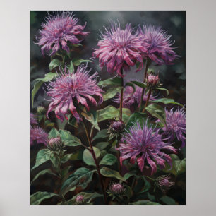 Purple Bee Balm Flowers Art Print Poster