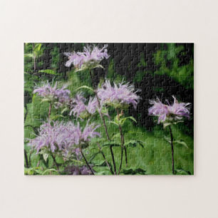 Purple Bee Balm Flowers Photo Painting Jigsaw Puzzle