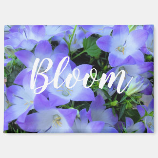 Purple Bellflowers Photograph Magnet