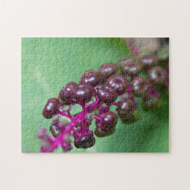 Purple Berries Jigsaw Puzzle (Horizontal)