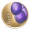 Purple Birthday Balloons Gold Envelope Seal