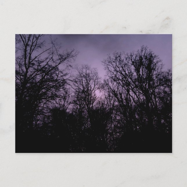 Purple black forest postcard (Front)