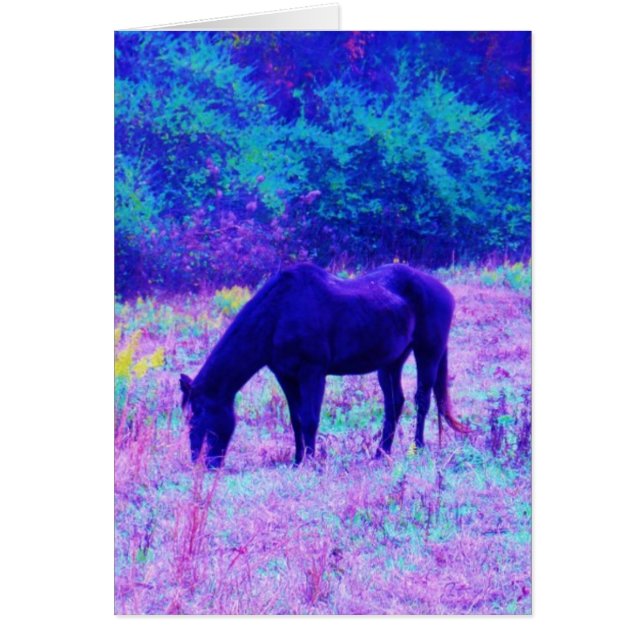 Purple Black Horse in Rainbow field (Front)
